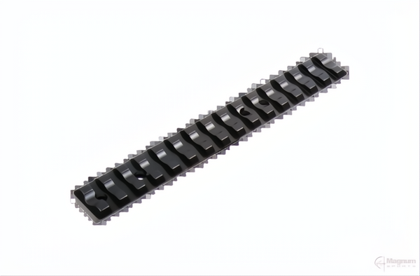 Recknagel Ruger 10/22 Picatinny Rail