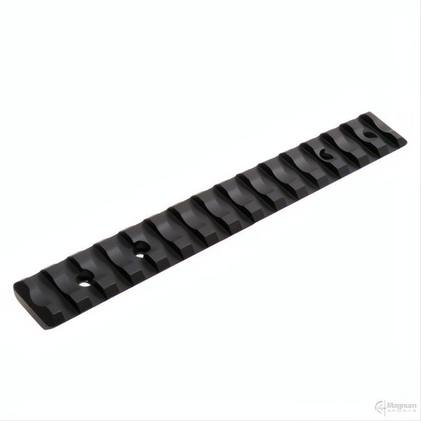 Recknagel Tikka Picatinny Rail