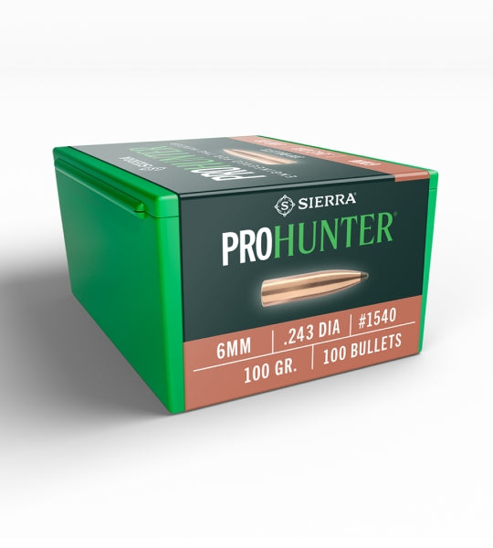 Sierra 1540 6MM 100gr Spitzer