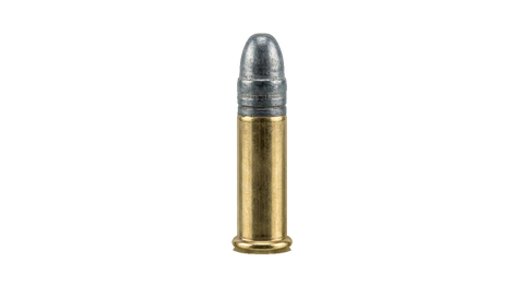 .22 Long Rifle
