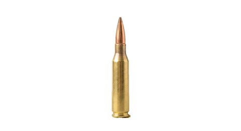 .243 Winchester