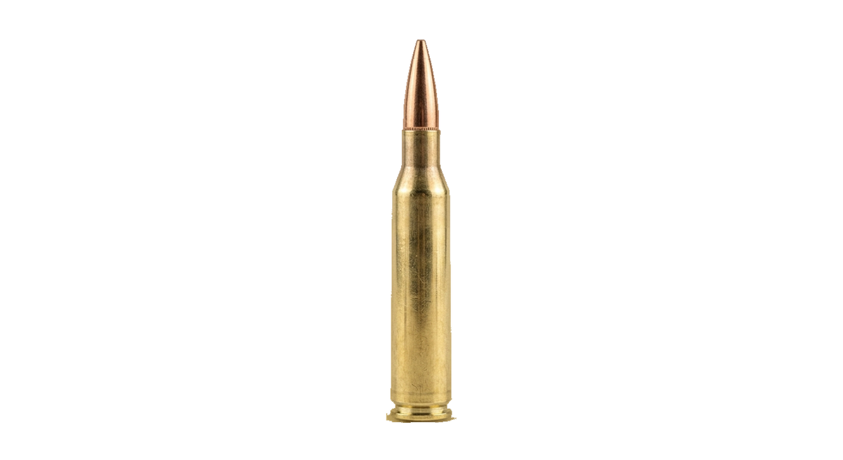 .270 Winchester
