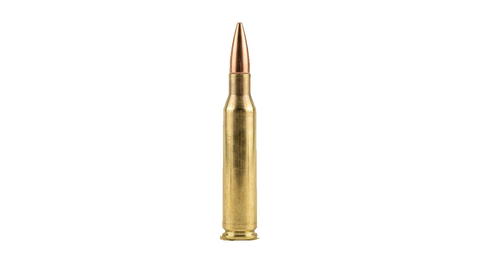 .270 Winchester