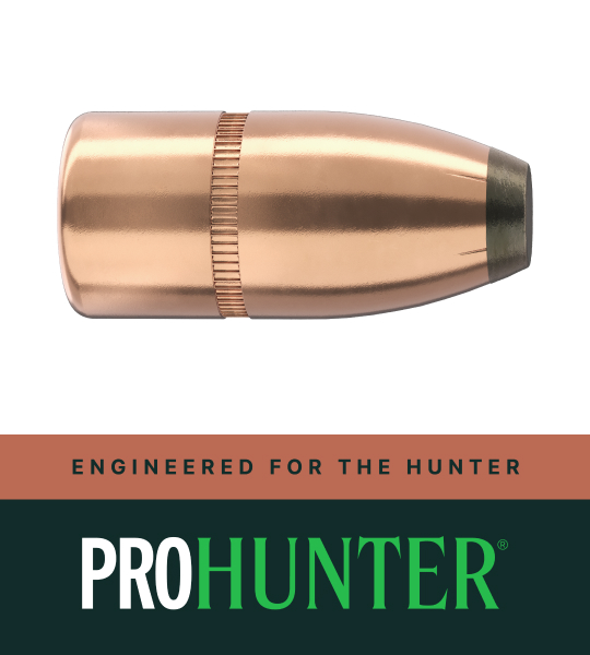 Sierra 375 CAL 200 GR FN PRO-HUNTER