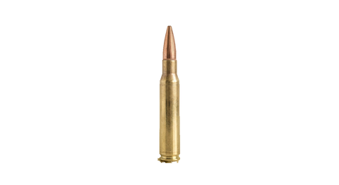 .30-06 Springfield