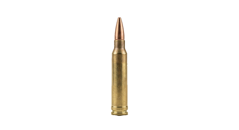 .300 Winchester Magnum