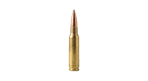 .308 Winchester
