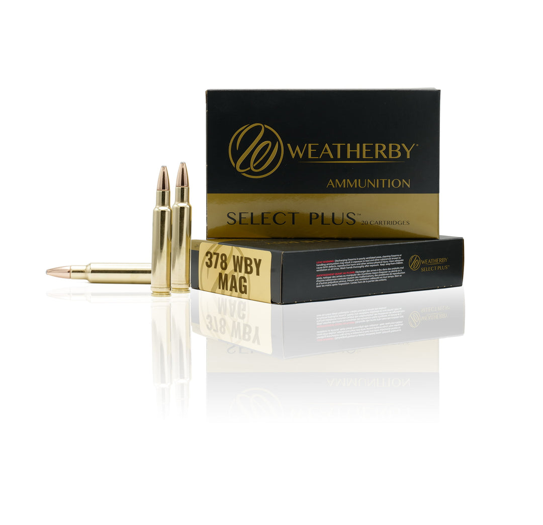 Weatherby .378 Weatherby Magnum 300gr Hornady DGX Bonded Ammunition