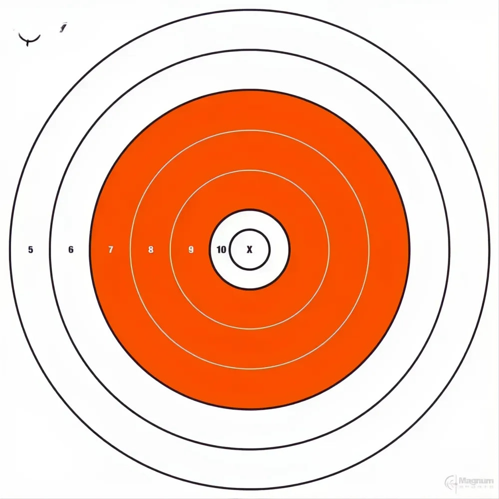 Allen Ez Aim Paper Targets