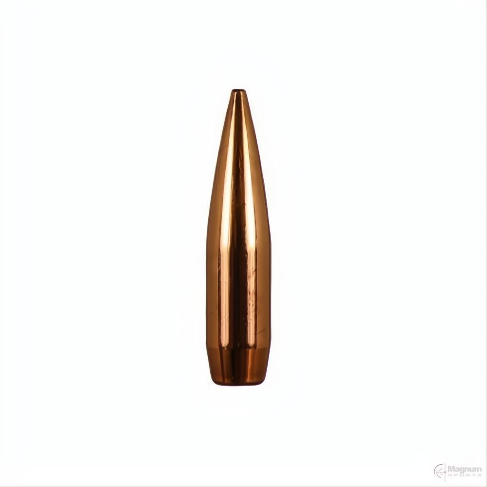 Barnes 600 Nitro BND SLD FN 900gr Projectiles