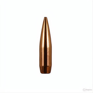 Barnes 600 Nitro BND SLD FN 900gr Projectiles