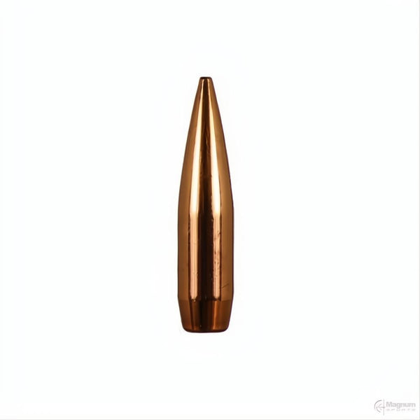 Barnes 600 Nitro BND SLD FN 900gr Projectiles