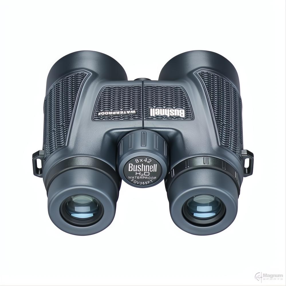 Bushnell H2O 10x42