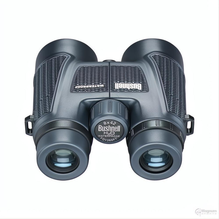 Bushnell H2O 10x42