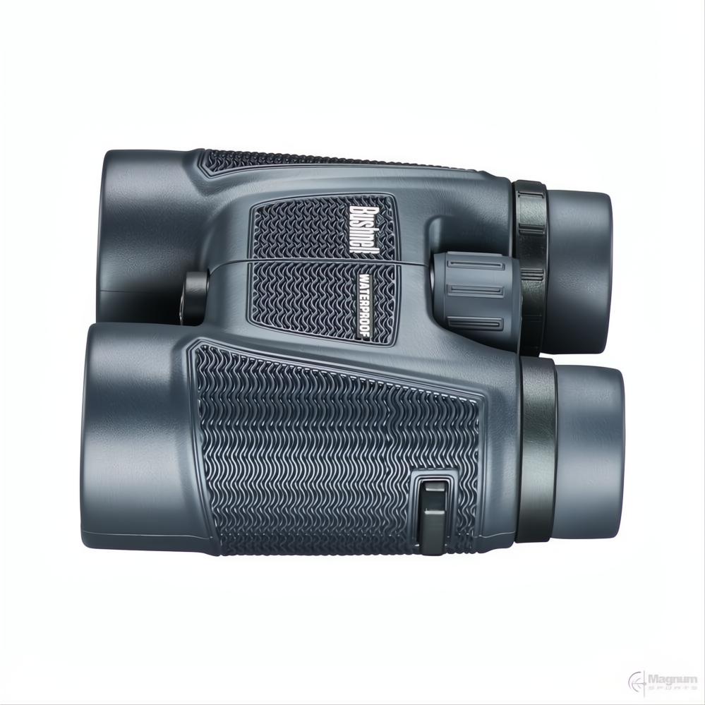 Bushnell H2O 10x42