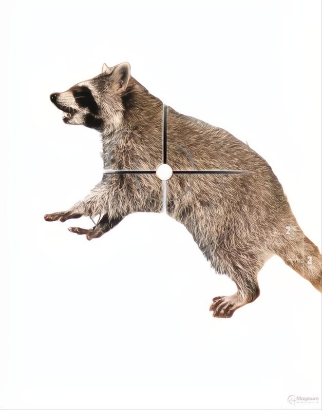 Champion Critter Series Target 10 Pack