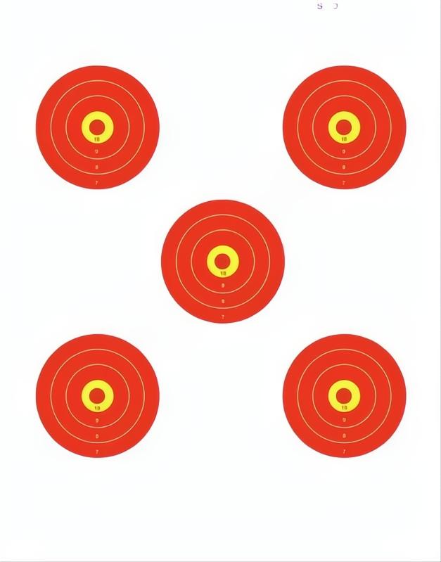 Champion Shotkeeper 5 Bull Br Large Target 12 Pack