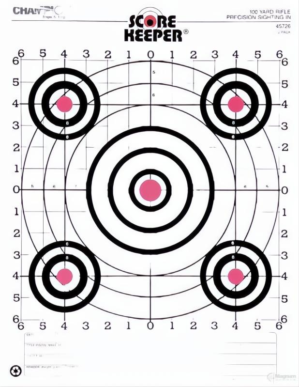 Champion Target 100Yd Rifle Sight In O/B