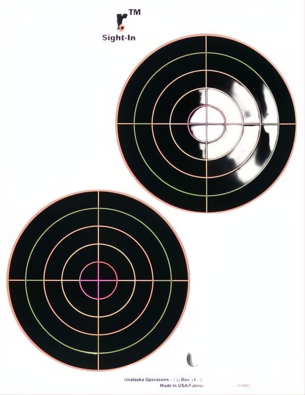 Champion Visicolor Bull Target