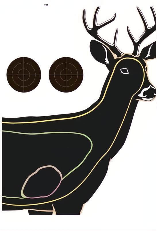 Champion Visicolor Target