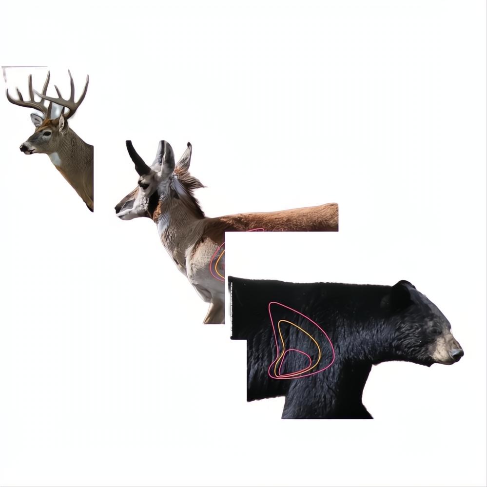 Champion Visicolor Target Real Life Big Game