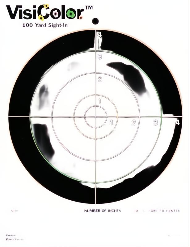 Champion Visicolor Target