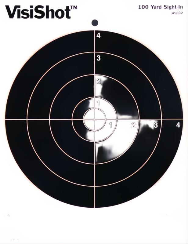 Champion Visishot Bulls Eye Target 10 Pack