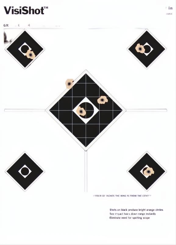 Champion Visishot Sight In Target 10 Pack