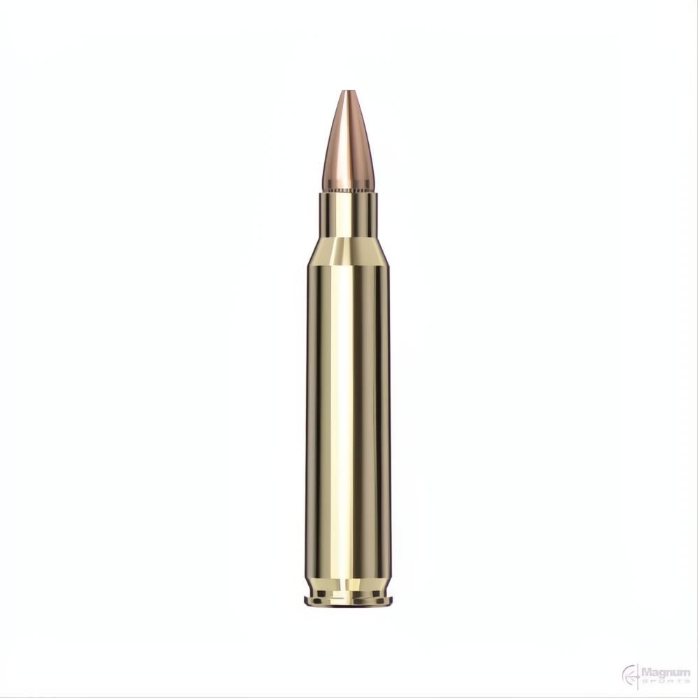Hornady 223 REM 55gr HP AG