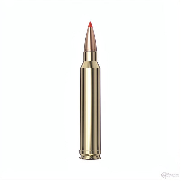 Hornady 300 WIN MAG 180GR SST SPF