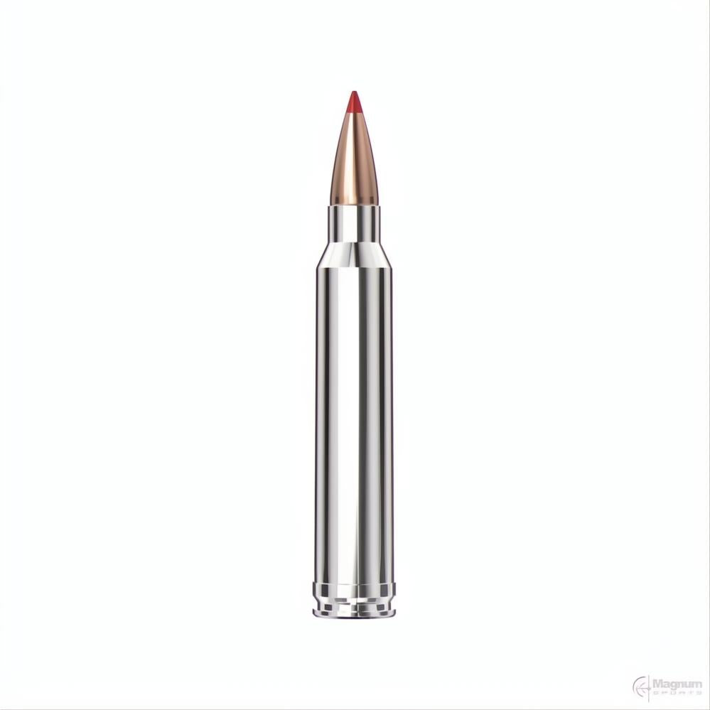 Hornady 300 WIN MAG 180gr CX OTF