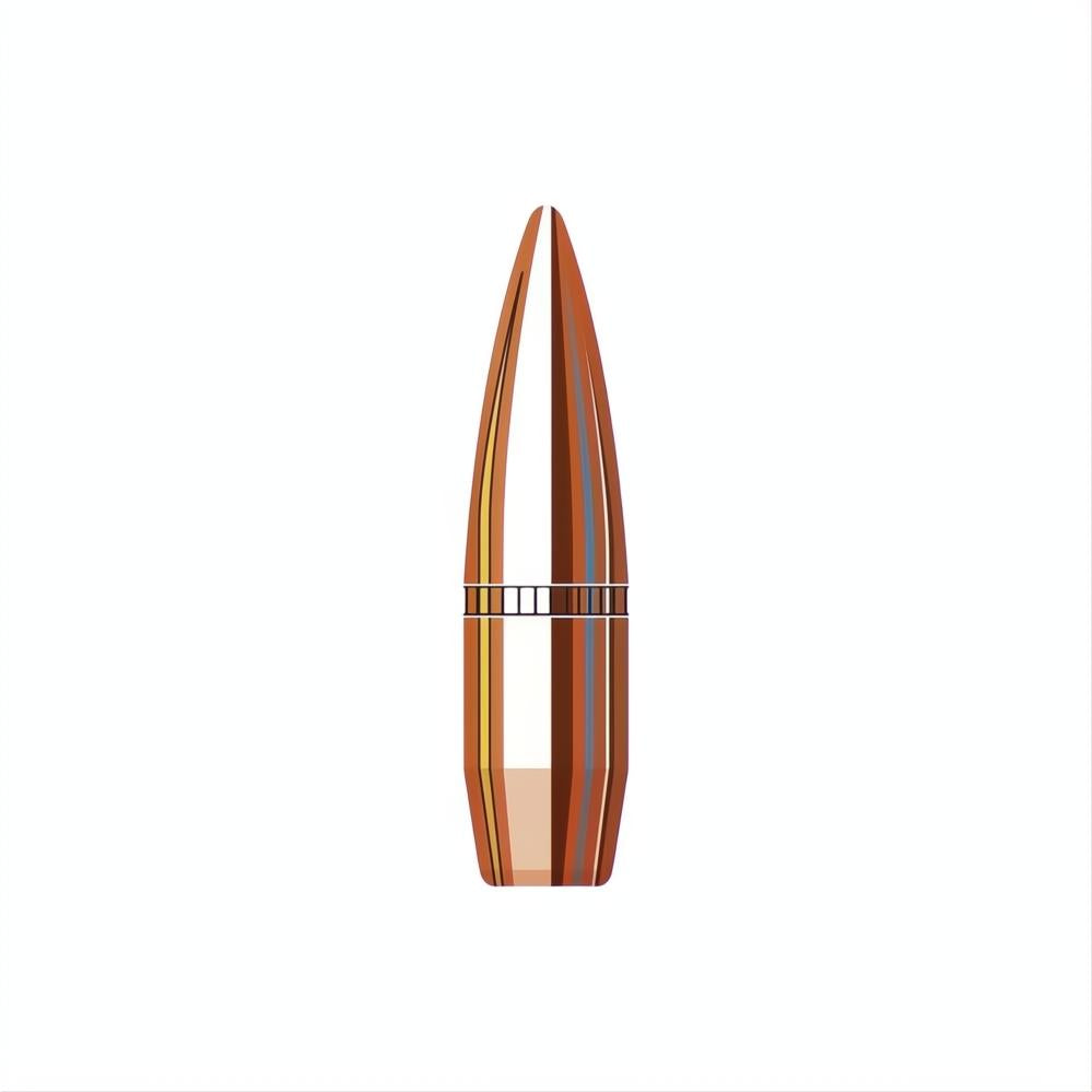 Hornady 303 Cal (.3105 Diameter) FMJ-BT 174gr Projectiles