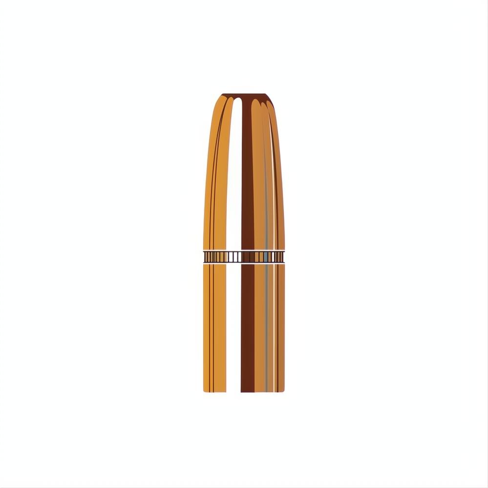 Hornady 9.3mm (.366 Diameter) DGS 300gr Projectiles