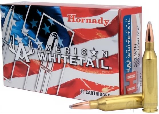 Hornady American Whitetail 243 WIN 100gr BTSP