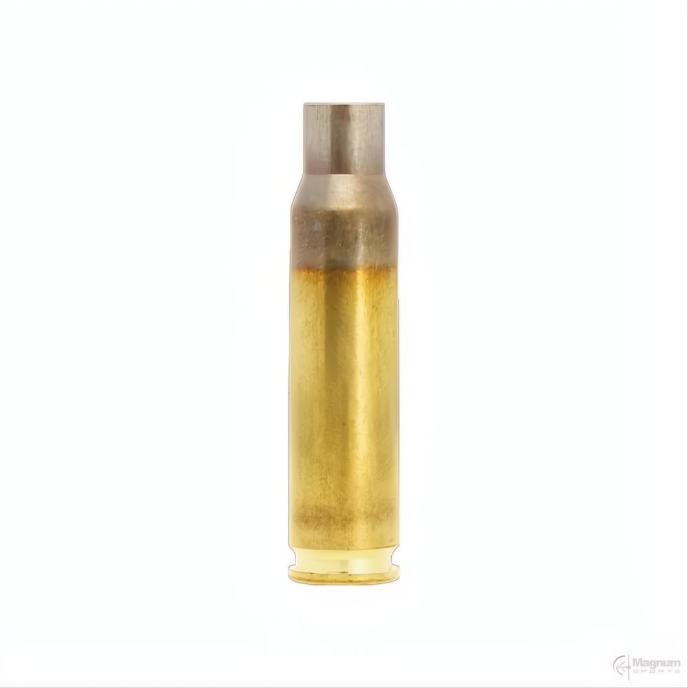 Lapua BRASS 308 WIN