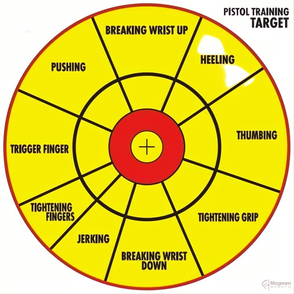 Proshot Pistol Training Target
