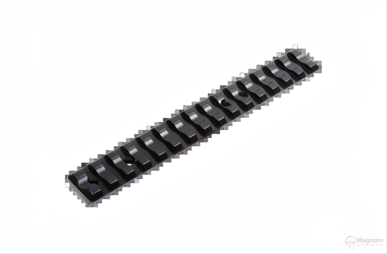 Recknagel Ruger 10/22 Picatinny Rail