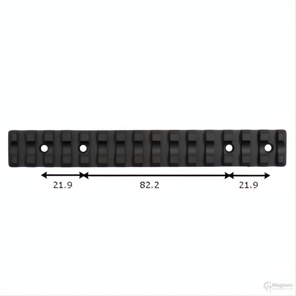 Recknagel Tikka Picatinny Rail
