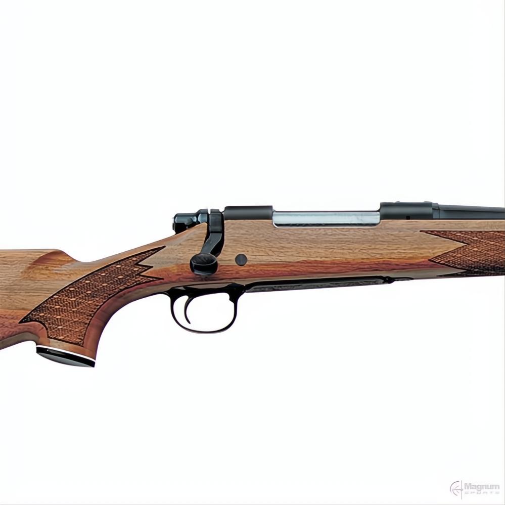 Remington 700 BDL