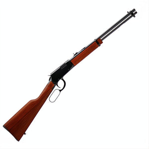 Rossi Rio Bravo