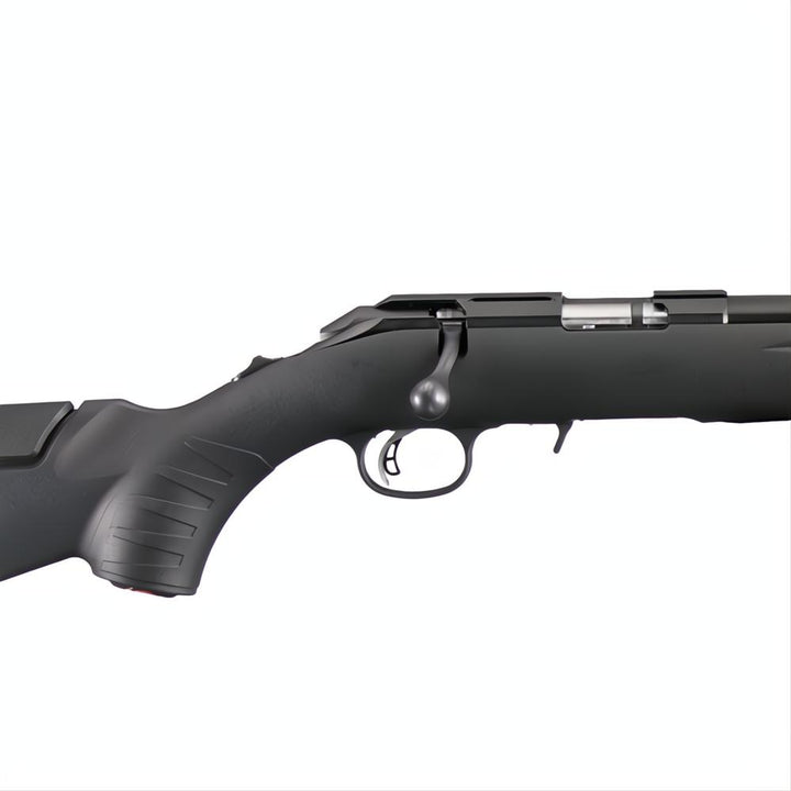 Ruger American Rimfire Black
