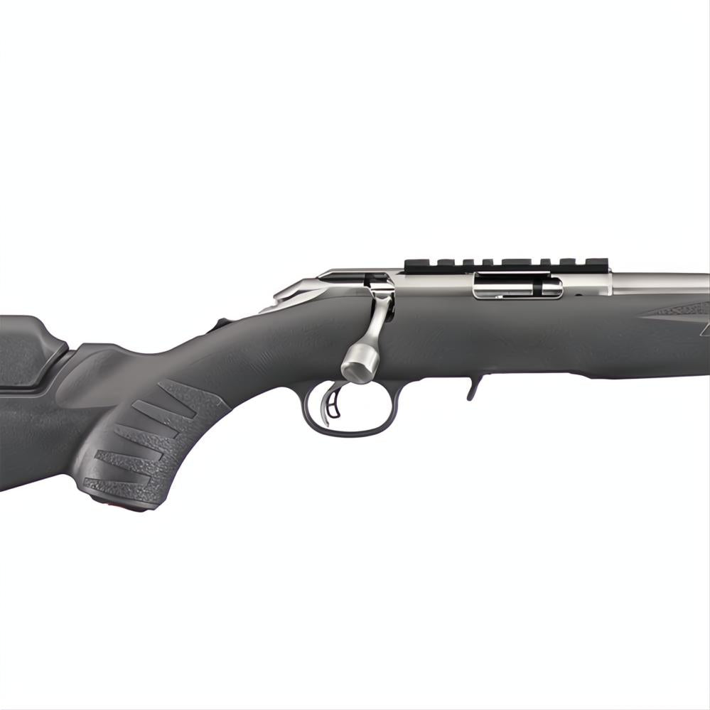 Ruger American Rimfire Stainless