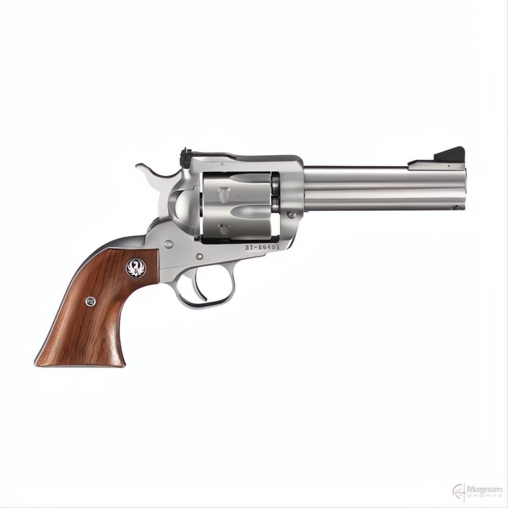Ruger Blackhawk Stainless