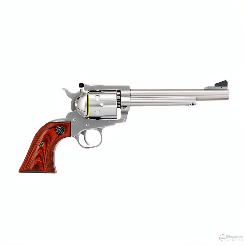 Ruger Blackhawk Stainless