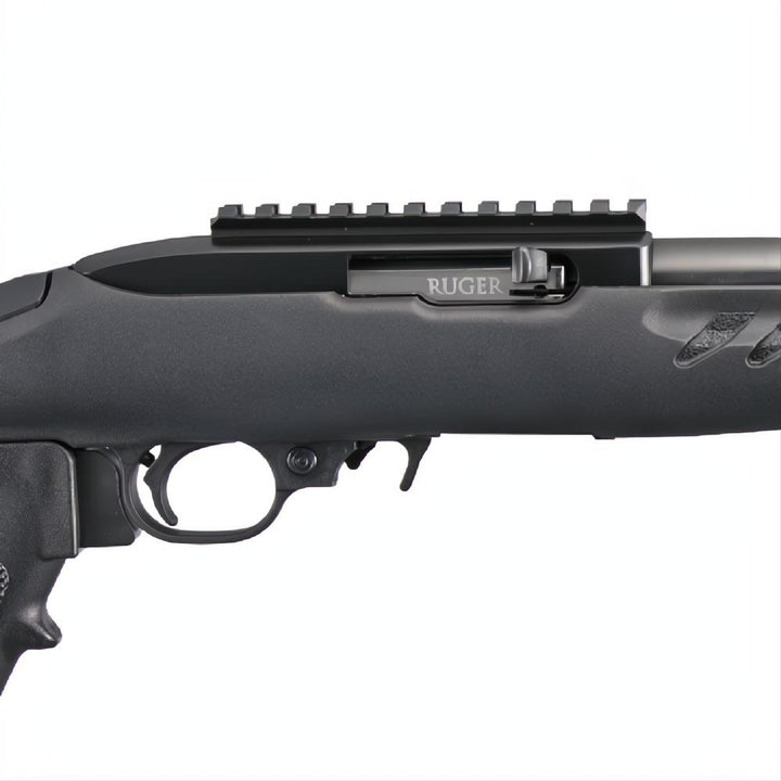 Ruger Charger Blue Synthetic