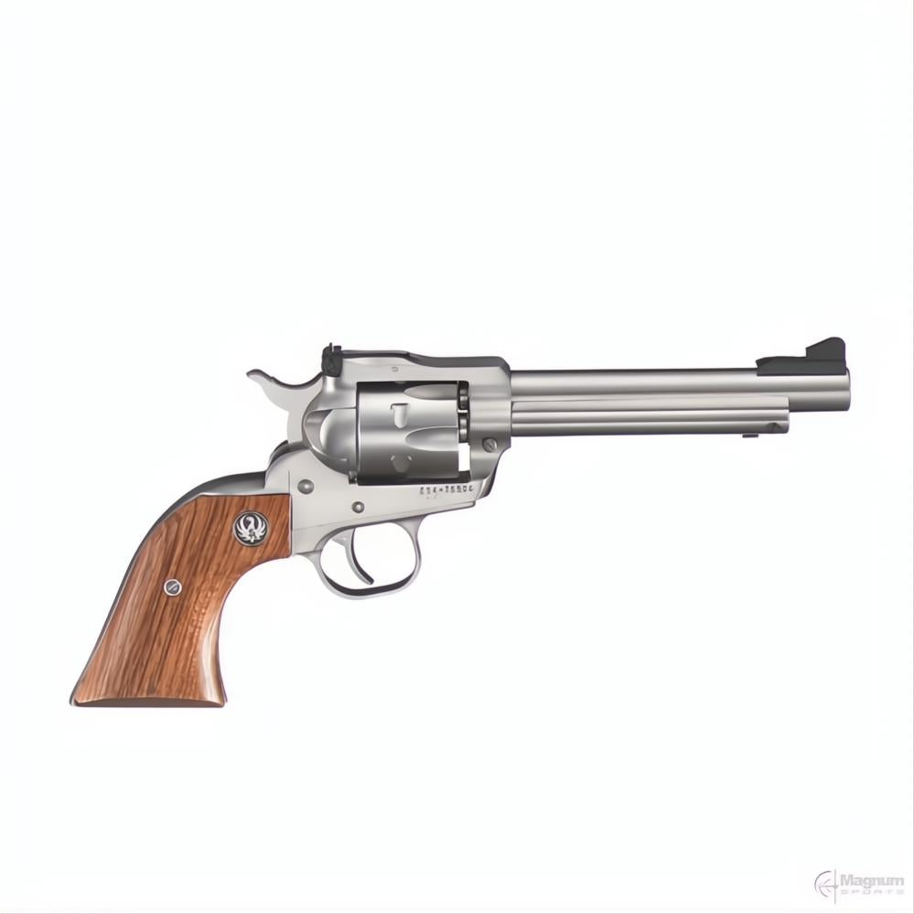 Ruger Single Six Stainless