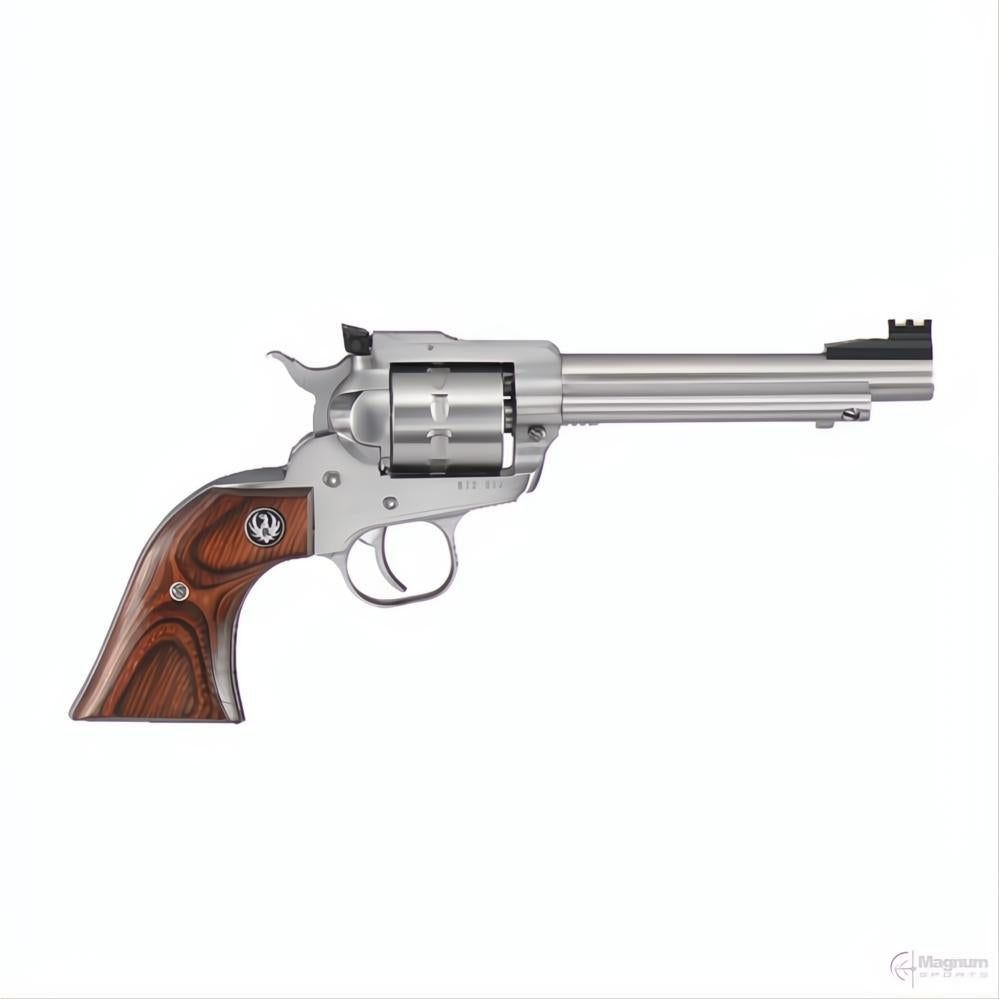 Ruger Single Ten