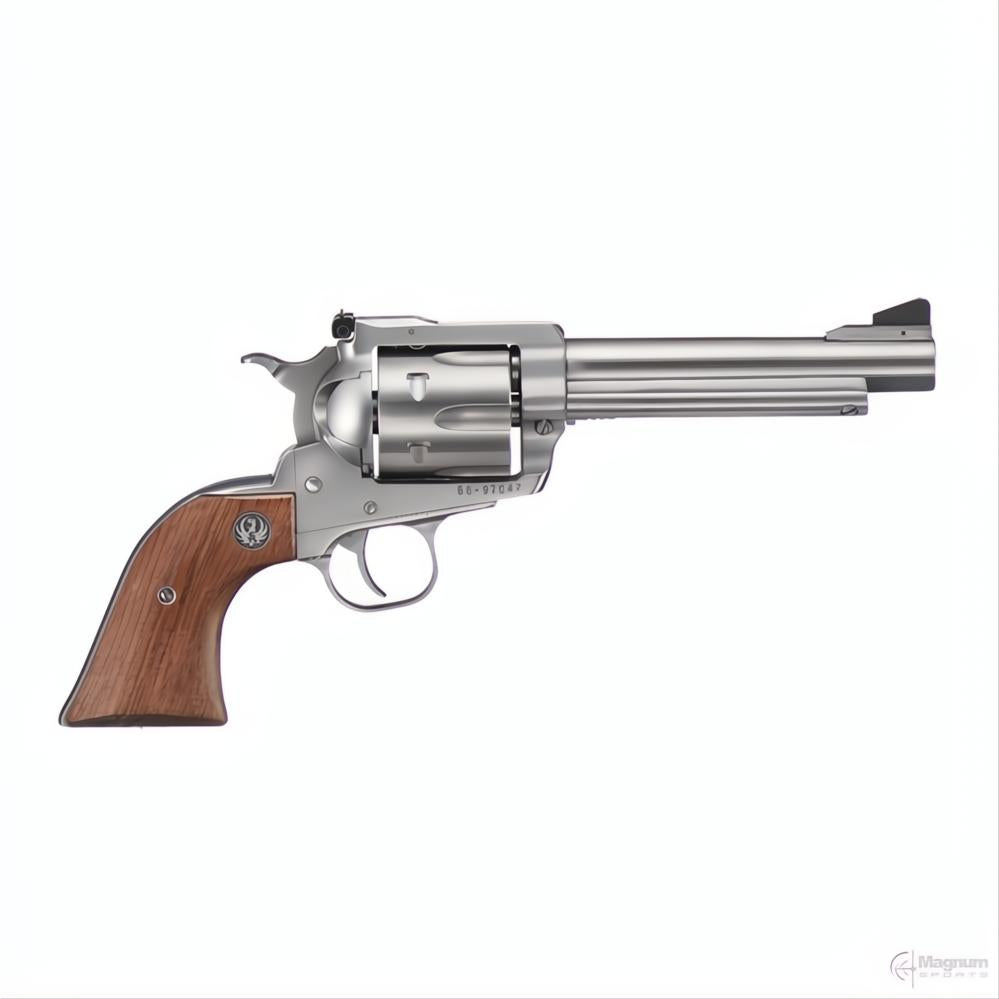 Ruger Super Blackhawk Stainless