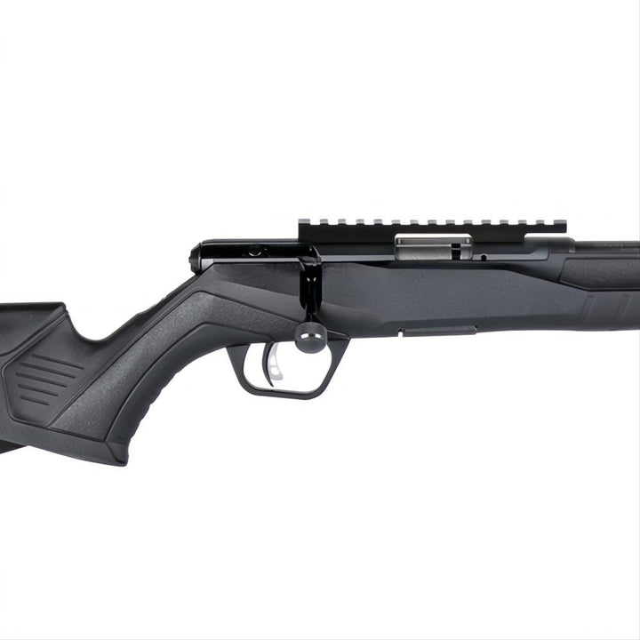 Savage B17 FV Blued Varmint