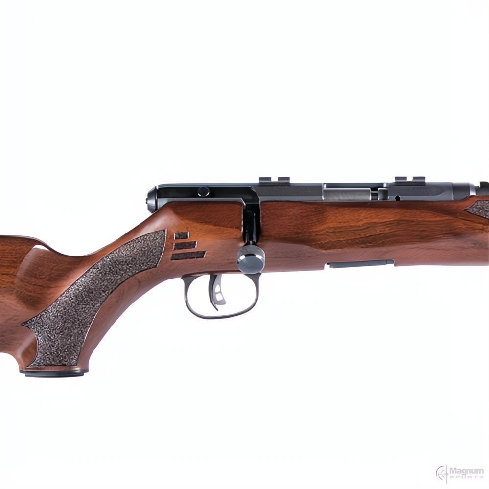 Savage B17 G Blued Wood